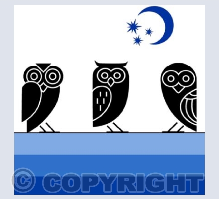 BD_07 Night Owls