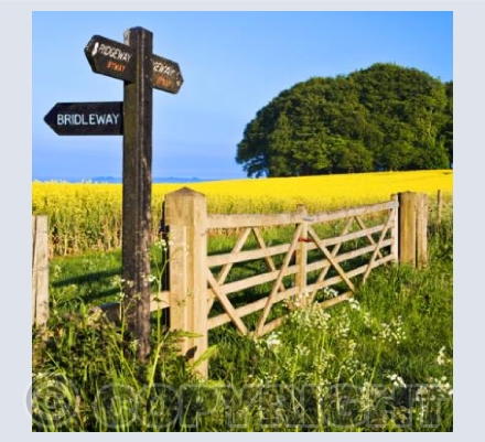 WL_15 The Waymark