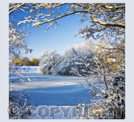 WL_20 Winter's Window