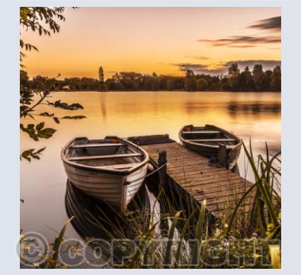 WL_37 Boats at Dawn