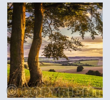 WL_38 Sunset over the Downs