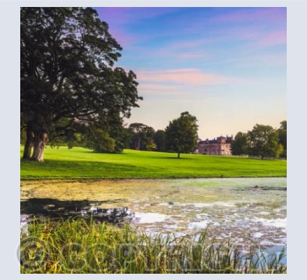 WL_42 Lydiard Sunrise