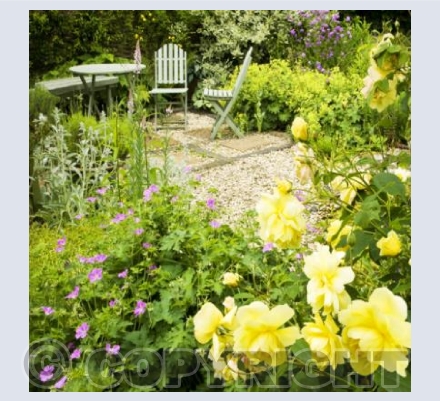 WG_06 The Wildlife Friendly Garden