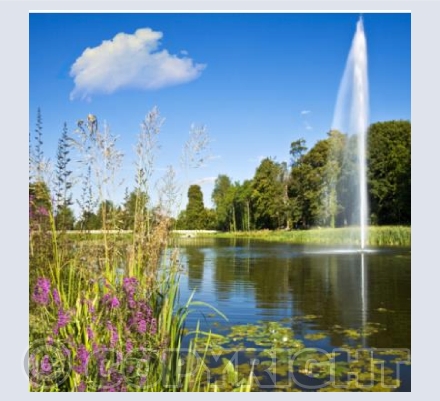 WG_09 Paradise Restored