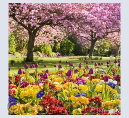 WG_13 Springtime in the Park