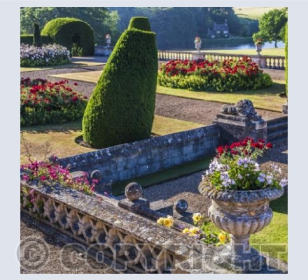 WG_16 Summer on the Terrace