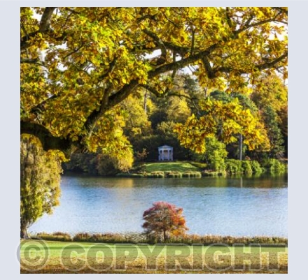 WG_17 Autumn at the Temple