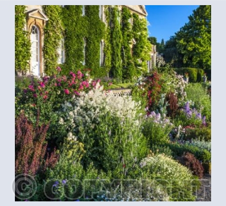 WG_21 Herbaceous Border