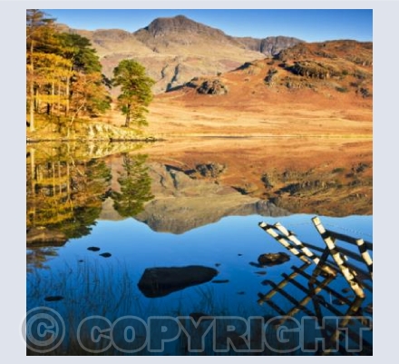 LD_08 Morning Reflections