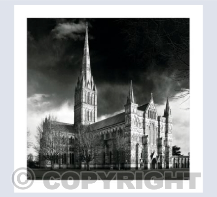 Evening Light - BW_WL_08