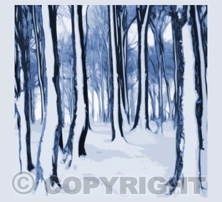 XS_20 Snowy Copse