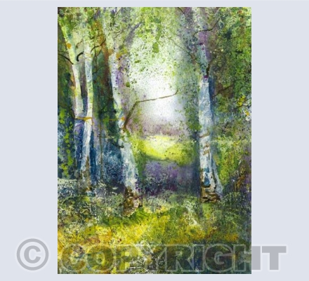 Sunlit Ashridge Glade 