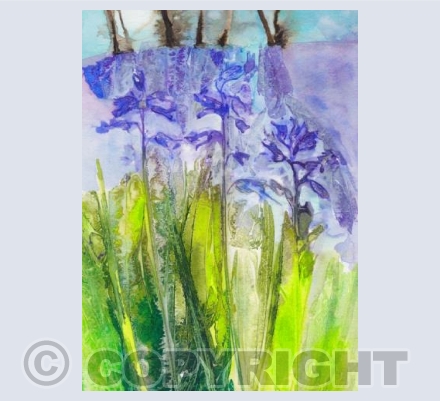 Gutteridge Bluebells
