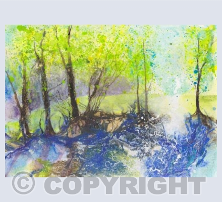Tinkers Bluebells