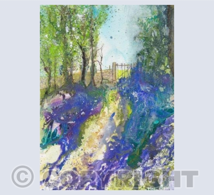 Lee Wood Bluebells 