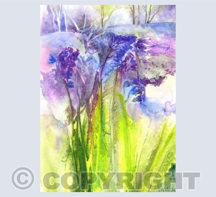 Gutteridge Bluebells 2