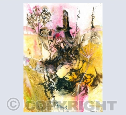 Setting Ruby Sun Buzzard