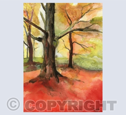 Autumn Beech