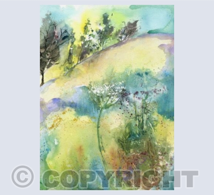 Meadow Hillside