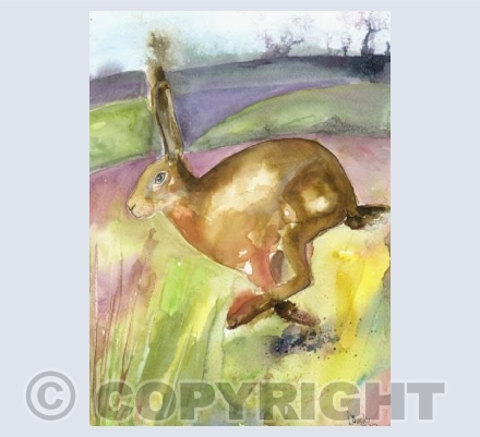 Running Hare