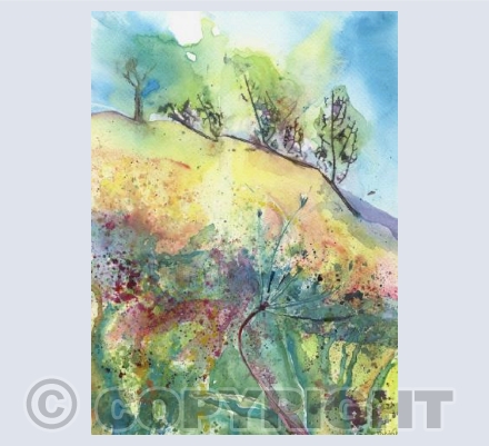 Summer Meadow