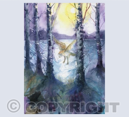 Twilight Owl