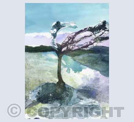 Windy Tree