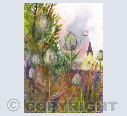 Sunnyside allotments 