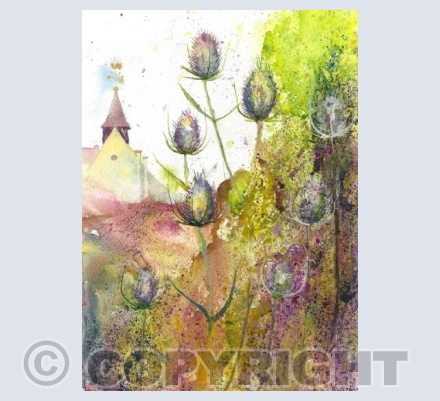 Teasels at Sunnyside Allotments 