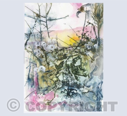 Red Kite over Lodge Hill