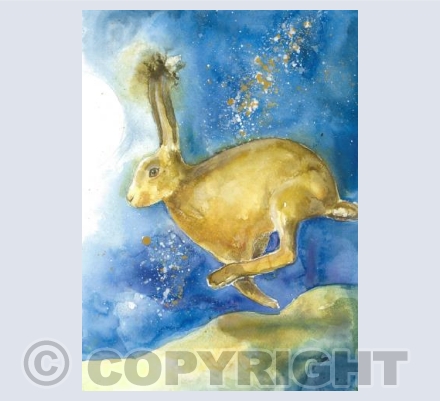 Milky Way Hare