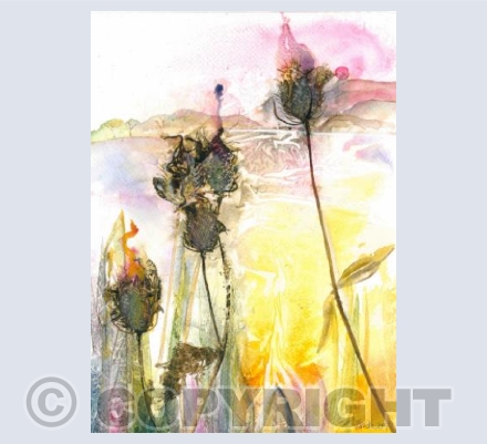 Teasels at the Reservoir