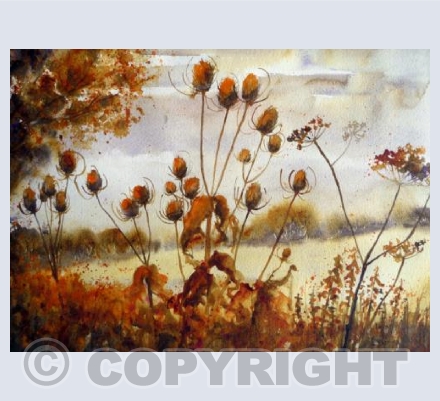Autumn Hedgerow