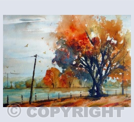 Autumn Tranquility