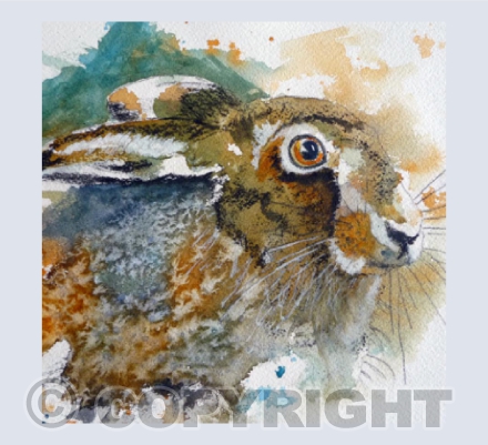 Harvest hare