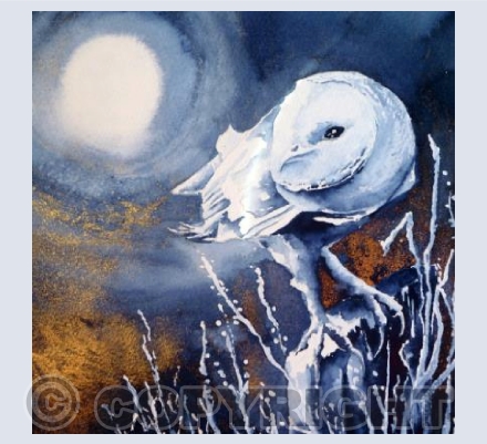 Moonlit Seeker