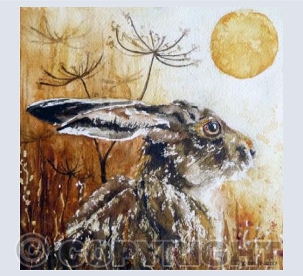 Solar Hare