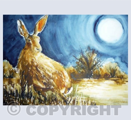 Moonlit Hare