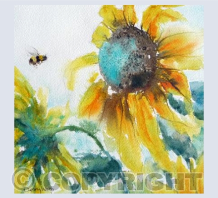 Sunshine & the Bee