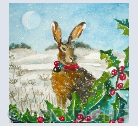Festive Hare