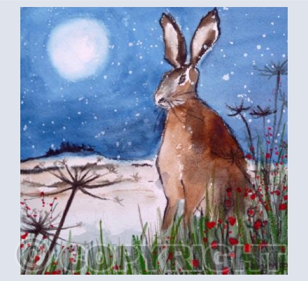 Winter Hare