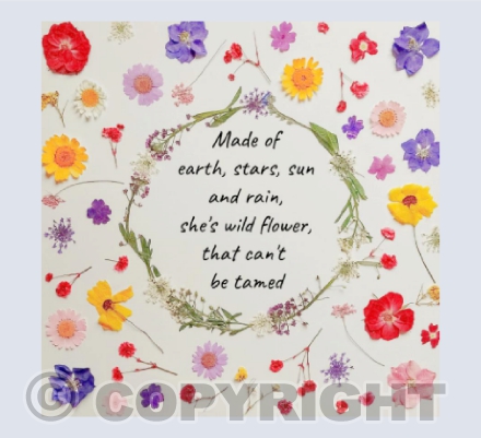 Wild Flower
