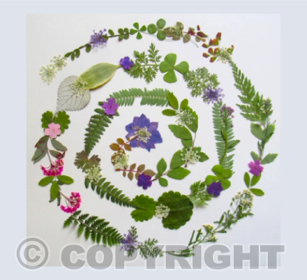 Spring spiral