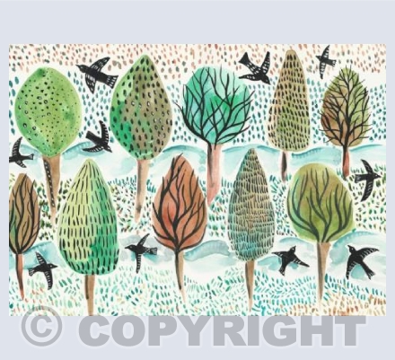 The lapwings are here