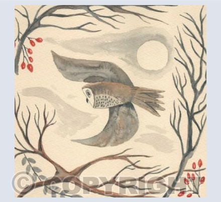 Winter owl