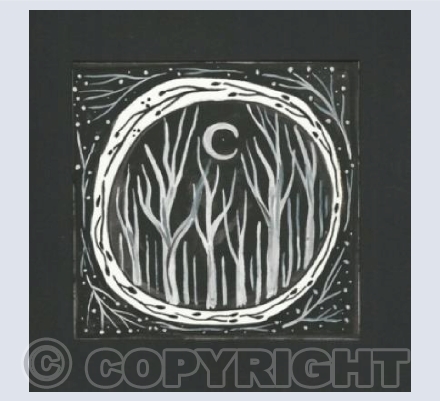 Moonlit Birches