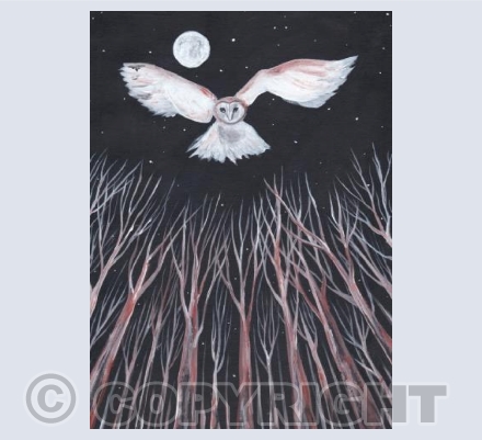 Woodland Night