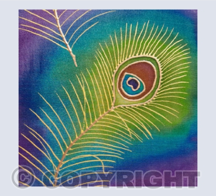 Peacock Feather