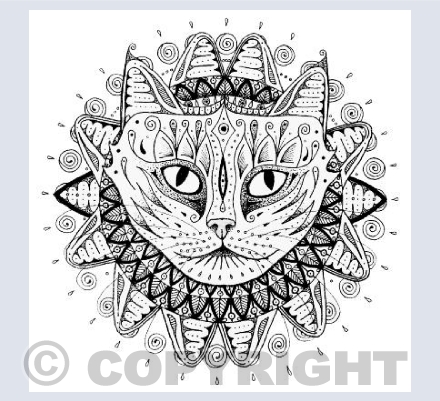 Cat Emerging