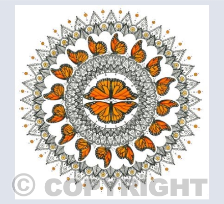 Monarch Butterfly coloured